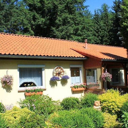 Hintze Villa Soltau Exterior photo